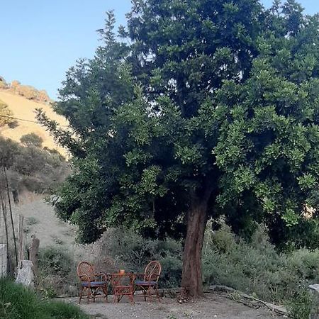 Karampinis Pension Kali Limenes Buitenkant foto